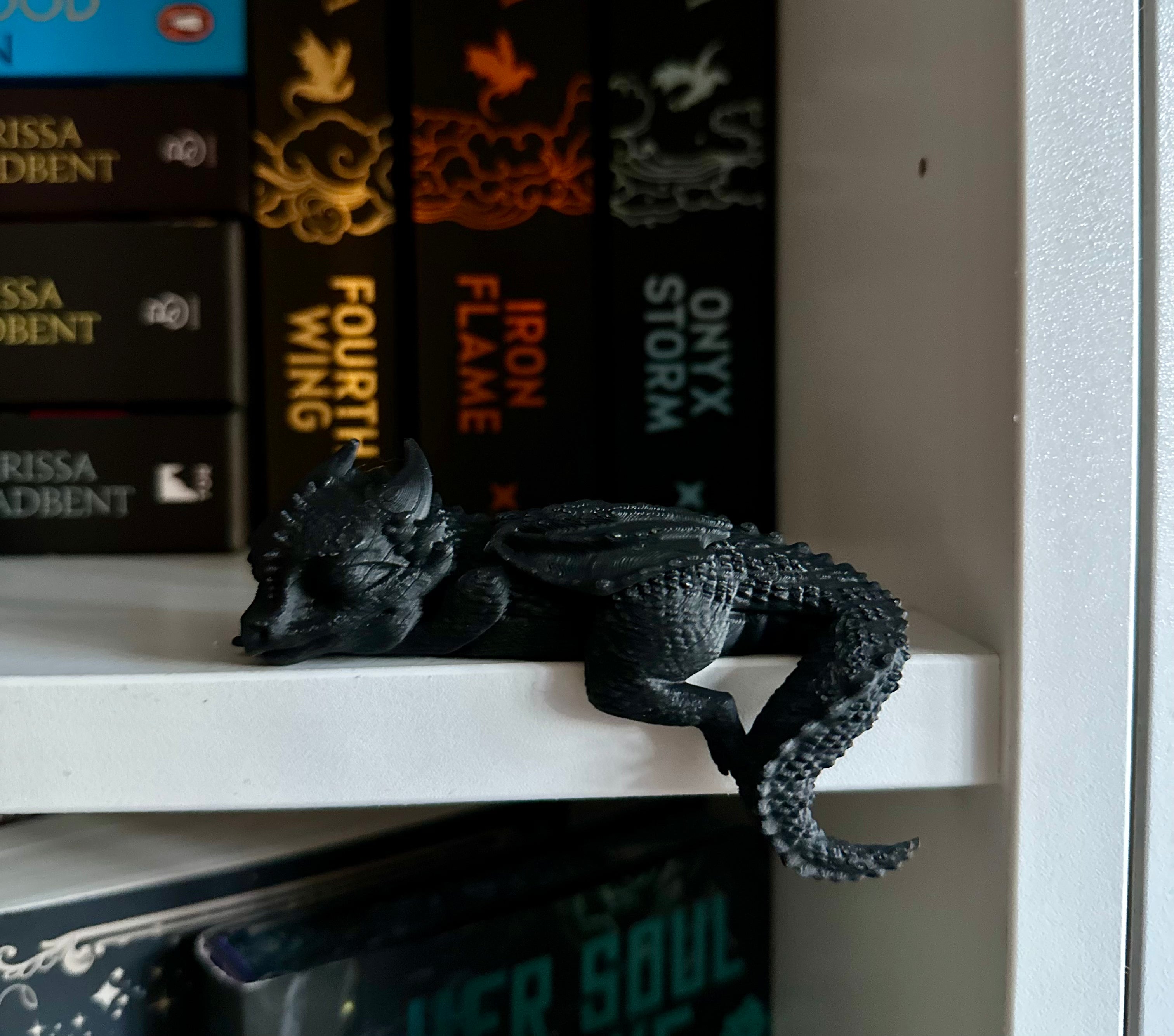 Sleeping Dragon - Bookish Shelf Companion