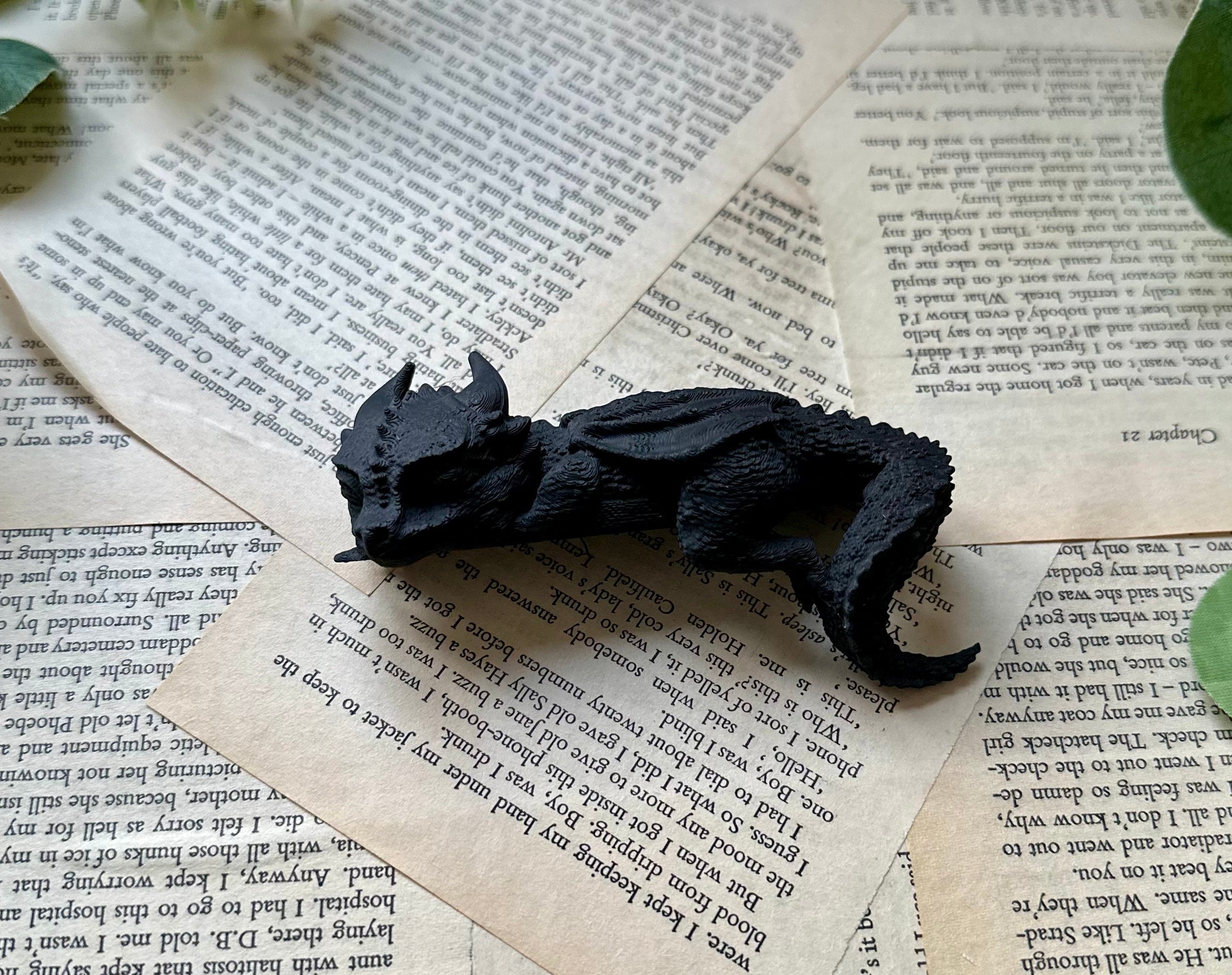 Sleeping Dragon - Bookish Shelf Companion