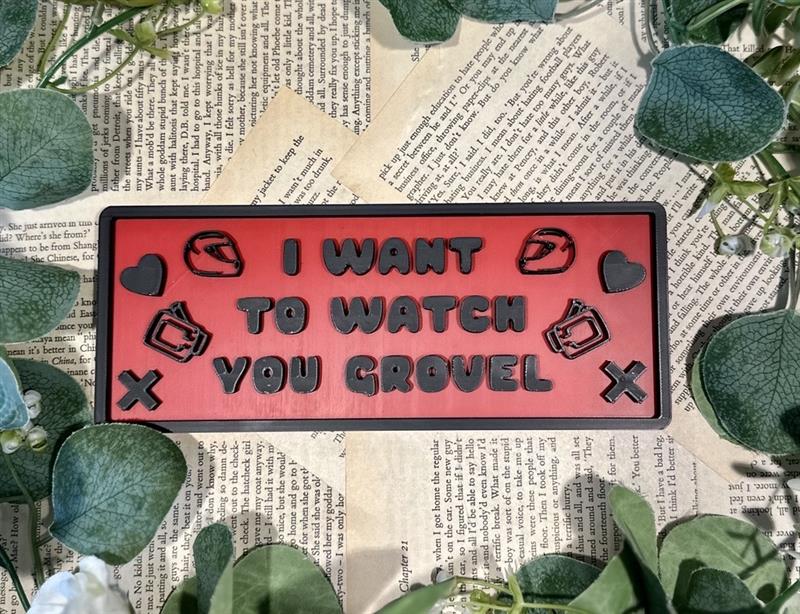 I Want to Watch You Grovel - Plaque